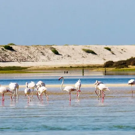 Salgados, Relax & Fun For Family Guia (Faro)