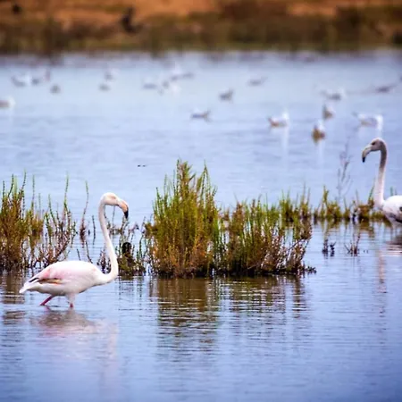 Salgados, Relax & Fun For Family Guia (Faro)